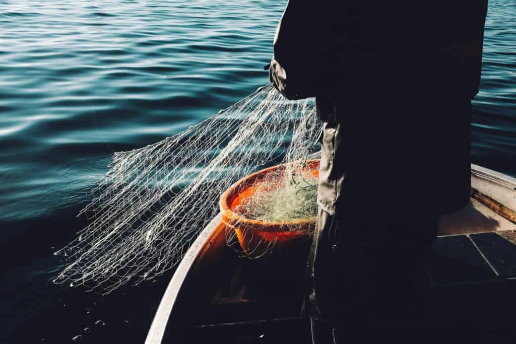 Why You Should Use a Phishing Monitoring Service?