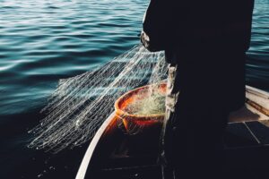 Why You Should Use a Phishing Monitoring Service?