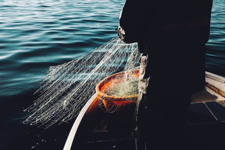 Why You Should Use a Phishing Monitoring Service?
