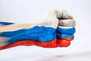 The Allegation that the Data of the Russian-Based Domain Registrar Domain.ru Was Captured