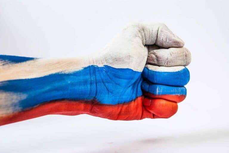 The Allegation that the Data of the Russian-Based Domain Registrar Domain.ru Was Captured
