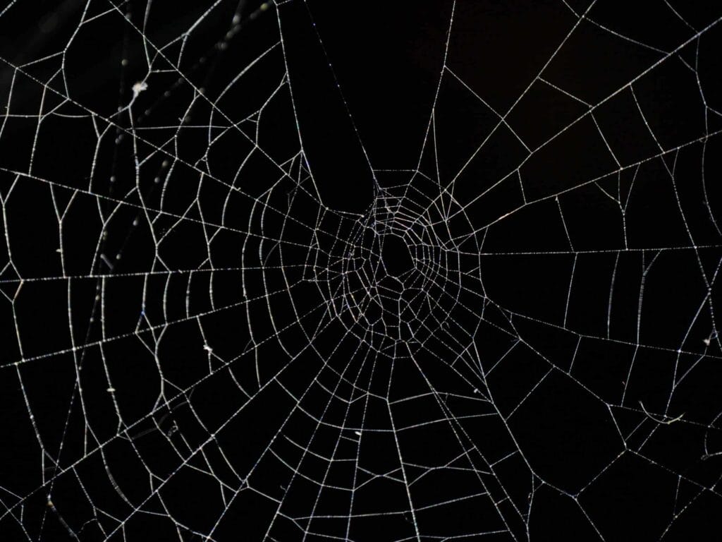 Top 5 Deep Web Black Markets