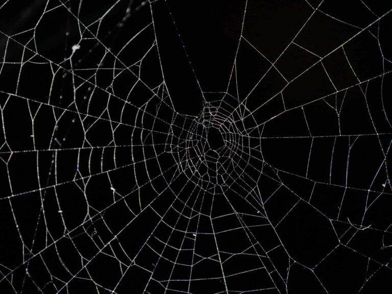 deep web