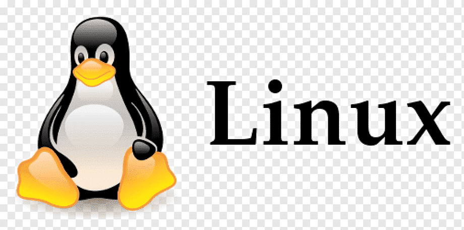 critical vulnerabilities in linux