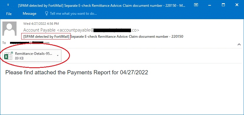 the excel file named "remittance-details-951244.xlam"
