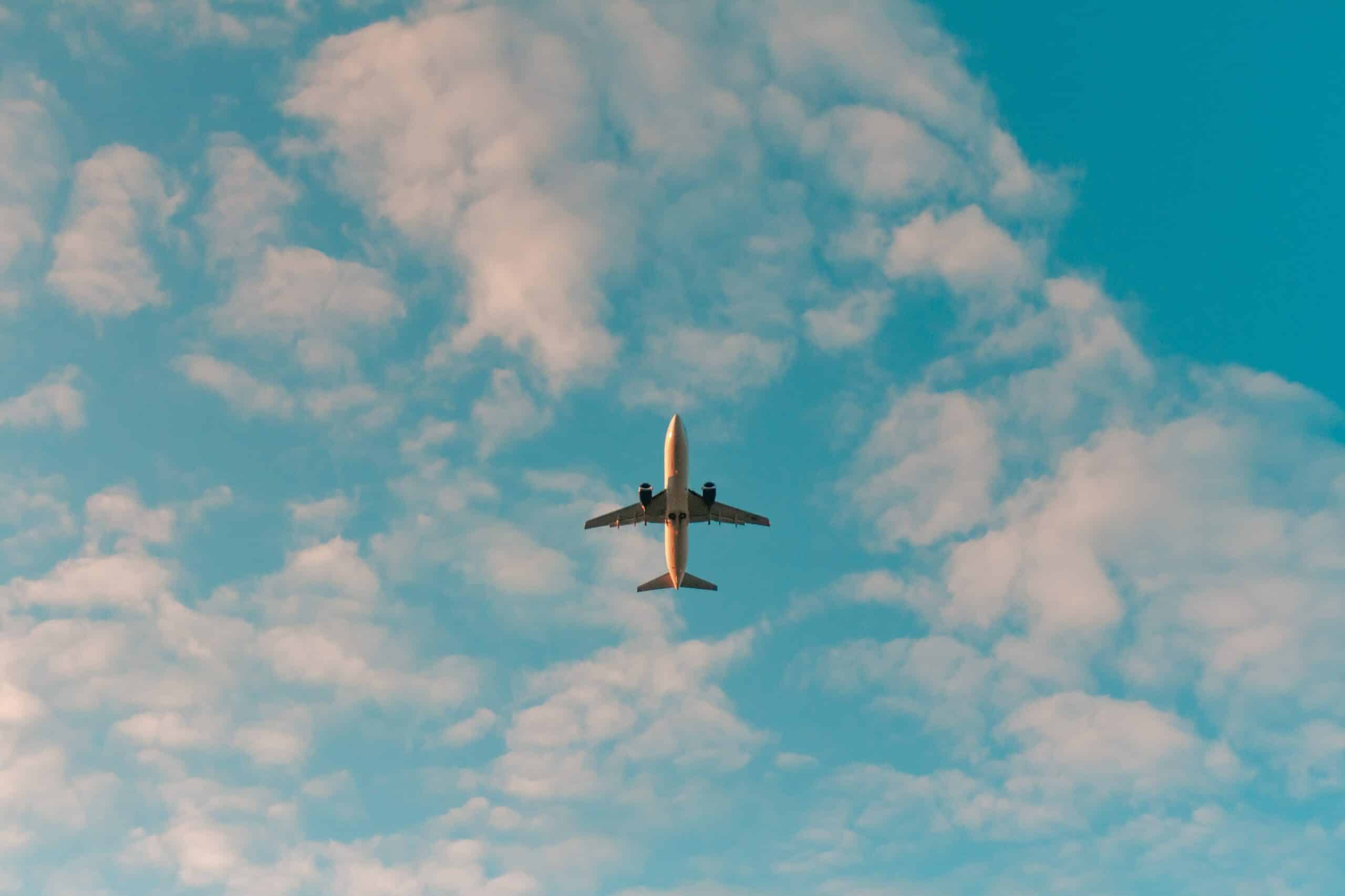 disclosed data from pegasus airlines