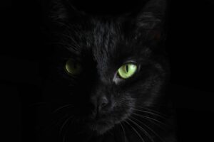 BlackCat Ransomware Is Targeted Vulnerable Microsoft Exchange Servers