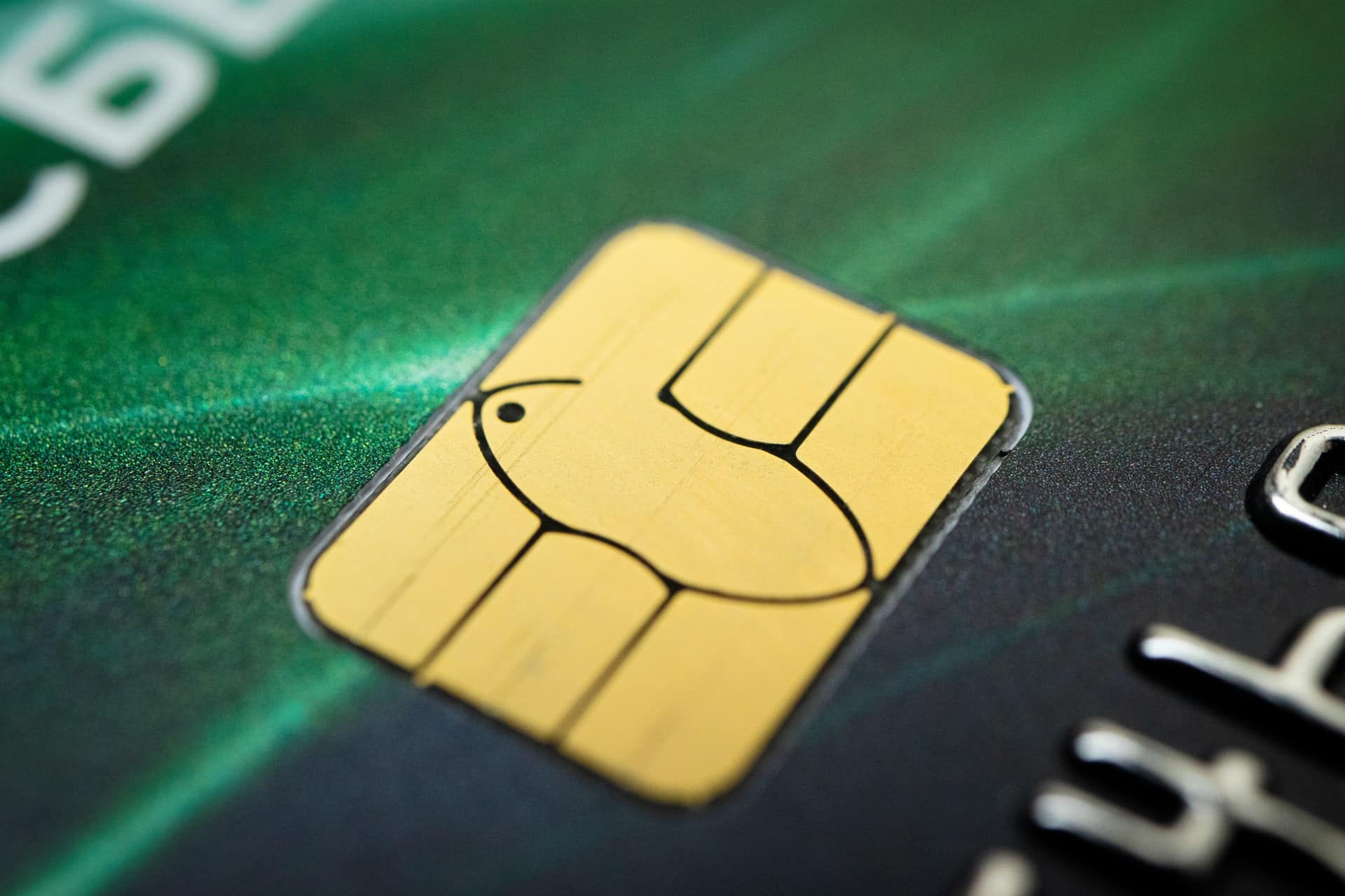 Credit Card Information Safety
