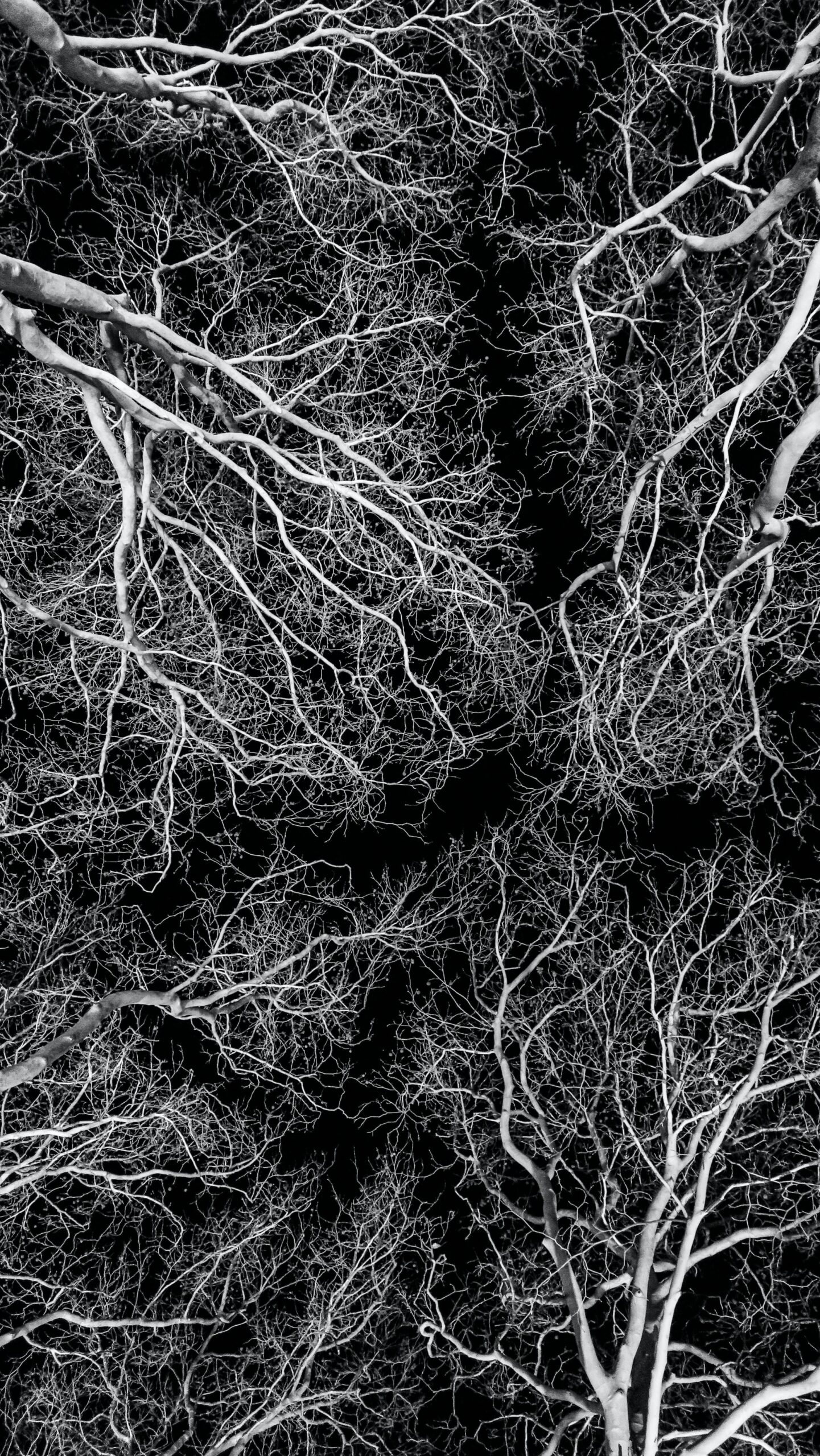 [Whitepaper] How to Uproot Rootkit Threats