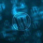 wordpress-wpbakery vulnerability