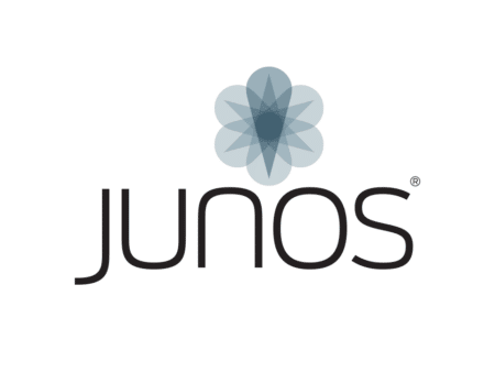 junos os vulnerabilities