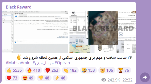 Figure 1: A screenshot from Black Reward threat actors Telegram channel