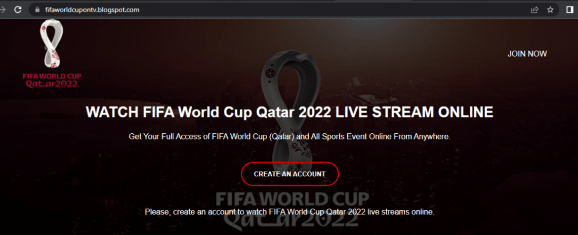 fifa world cup qatar 2022 fake website