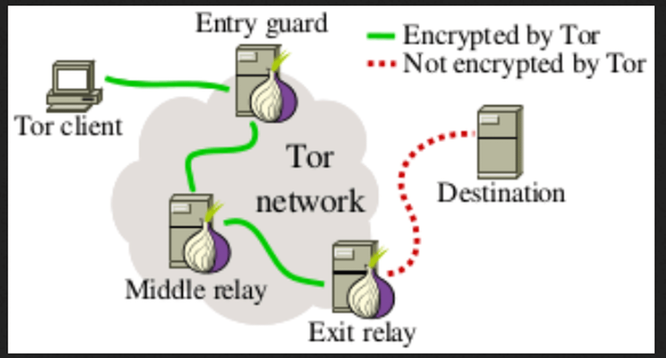 Figure 2: How the Tor browser works (Source: https://www.cs.kau.se/philwint/spoiled_onions/img/tor.png)