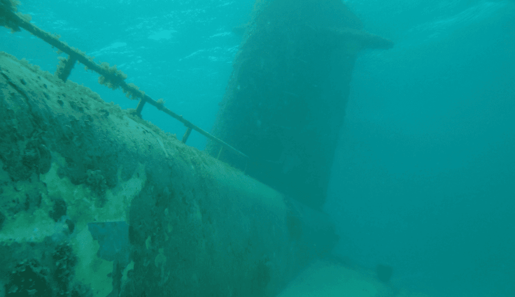 barracuda esg sumarine backdoor
