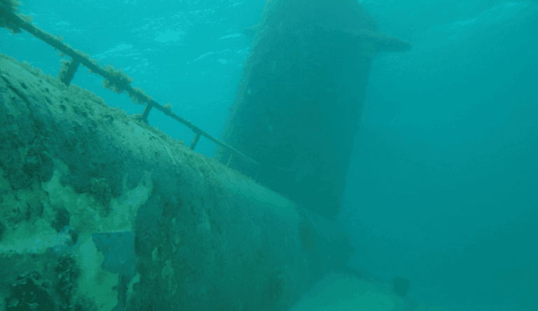 Advanced Backdoor Attack “SUBMARINE” Uncovered in Barracuda Email Security Gateway (ESG) Appliances