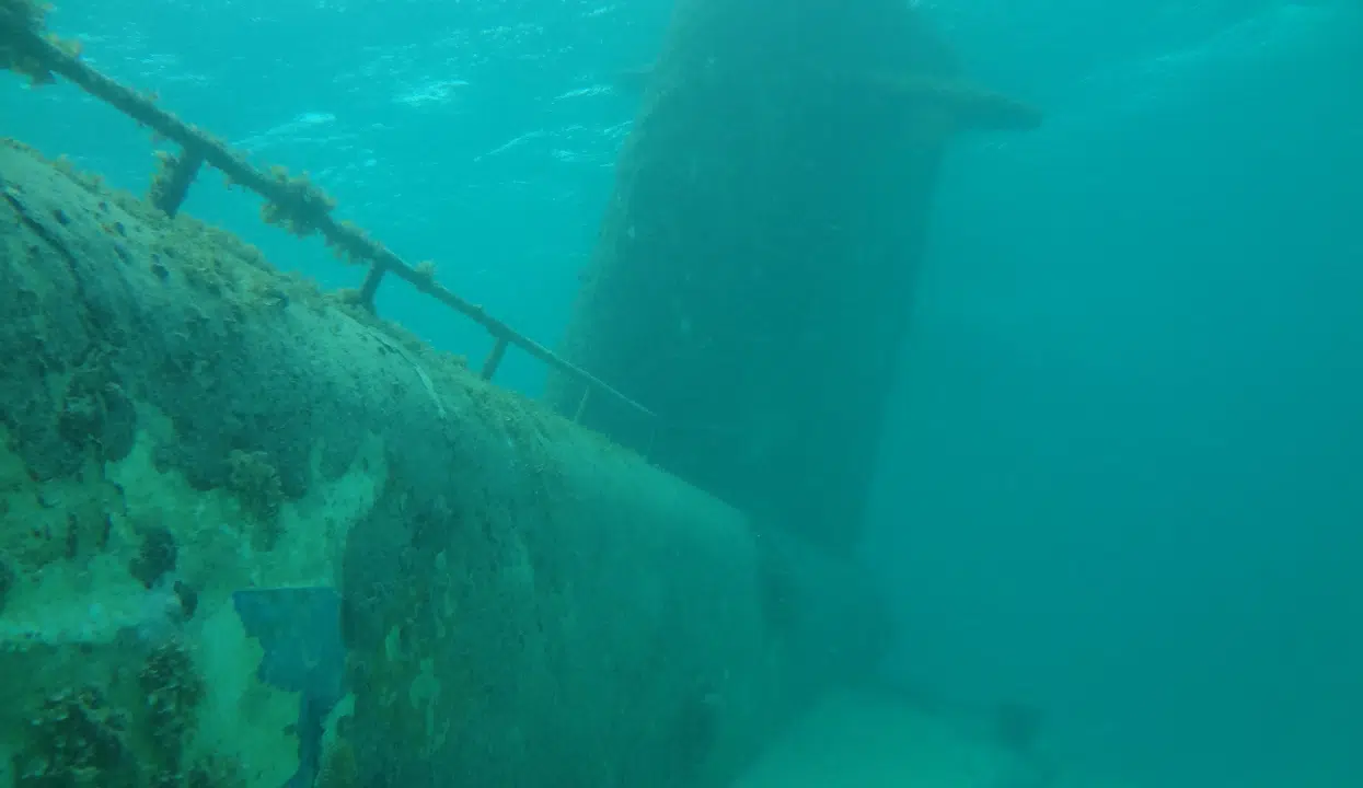 Advanced Backdoor Attack “SUBMARINE” Uncovered in Barracuda Email Security Gateway (ESG) Appliances