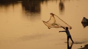 Phishing in the Age of Social Engineering: Advanced Scam Tactics
