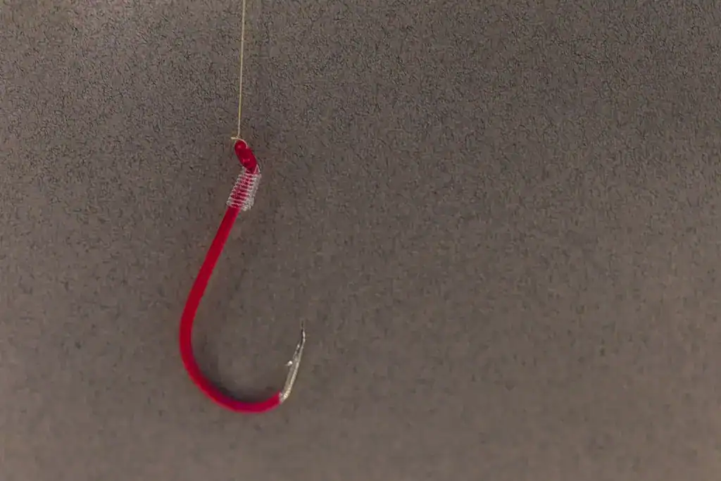 Enhancing Phishing Protection: Advanced Techniques and Tools