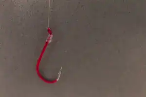 Enhancing Phishing Protection: Advanced Techniques and Tools