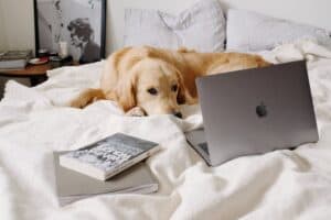 The Human Element: Enhancing Security Awareness in the Remote Work Era
