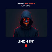UNC4841 APT Card summarizing China-linked cyber-espionage activity since 2021.