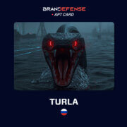 Turla APT group profile image representing a Russia-linked cyber espionage threat actor known for Snake malware and long-term attacks against NATO and government networks.