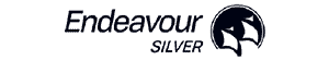 Brandefense Silver logo representing cybersecurity and brand protection.