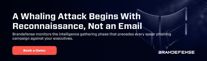 Cybersecurity alert about whaling attacks targeting executives.