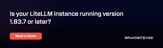 LiteLLM instance version prompt with demo button and branding.